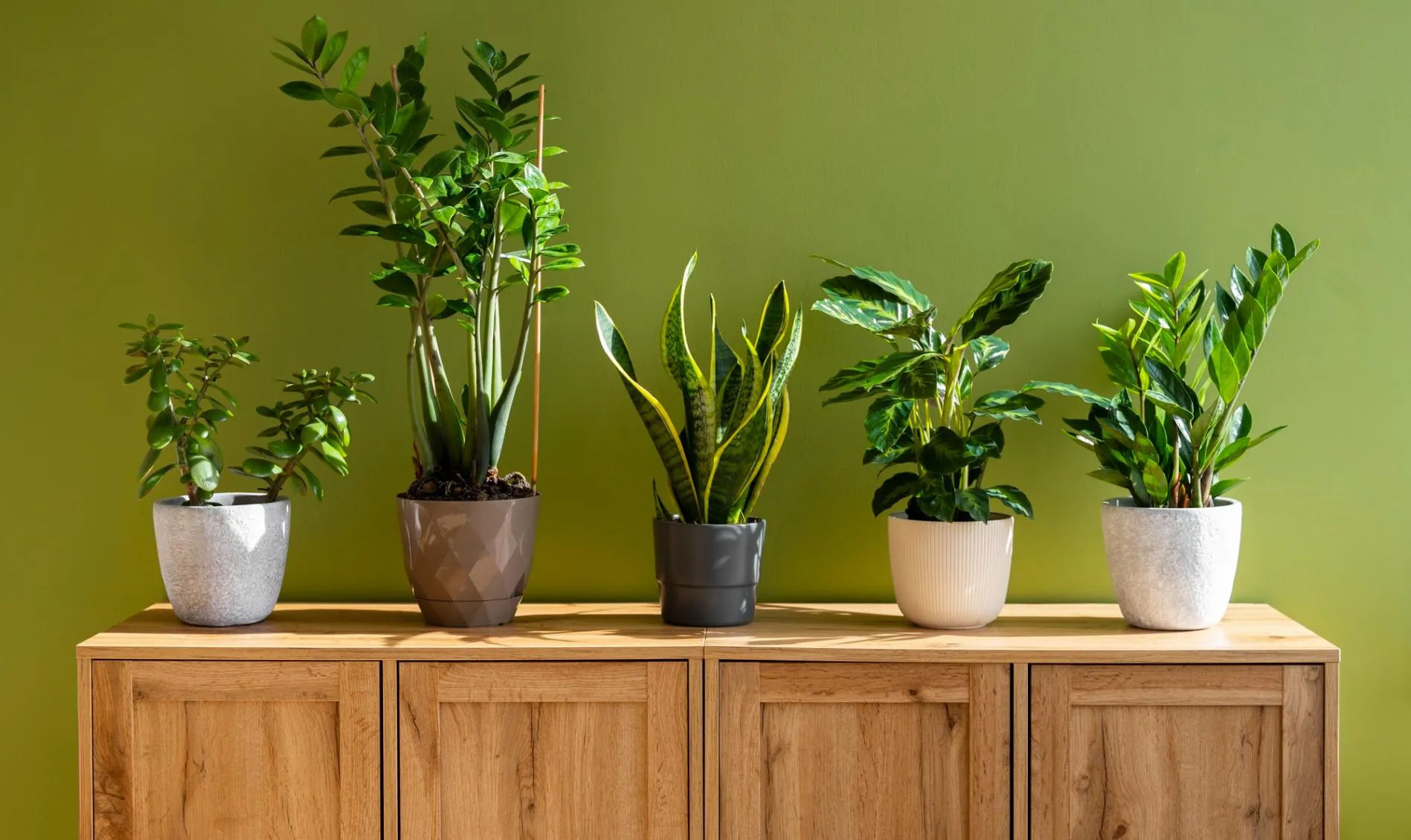 Green Library Slide 4